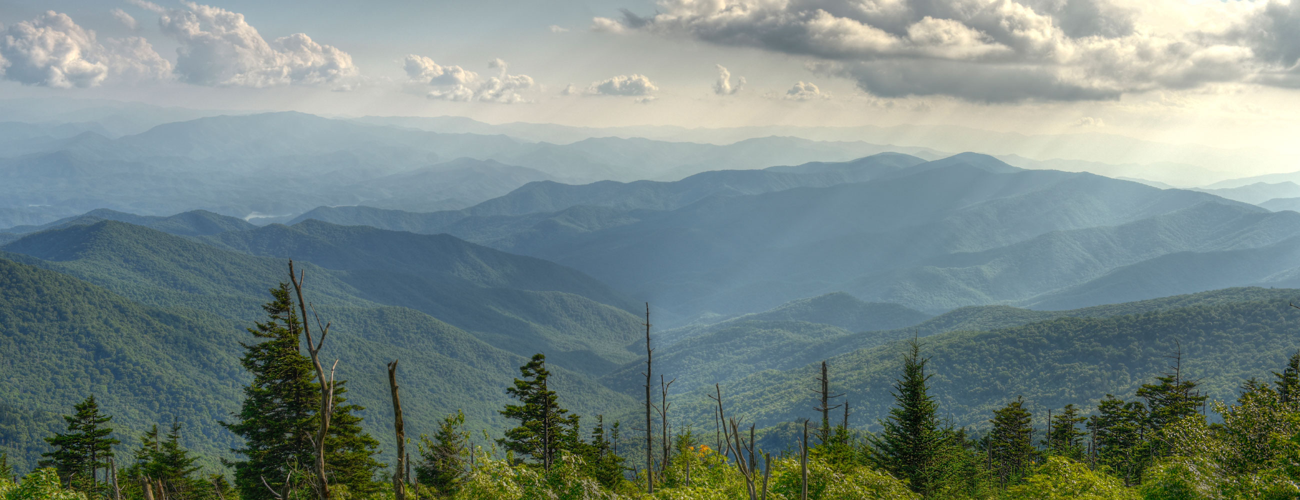 Delivery Licores 24/7 Delivery Licores 24/7